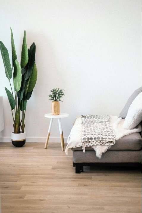 Immagine arredo legale